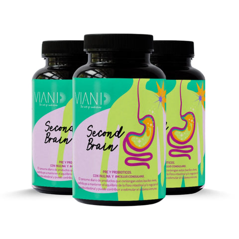Second Brain 3X