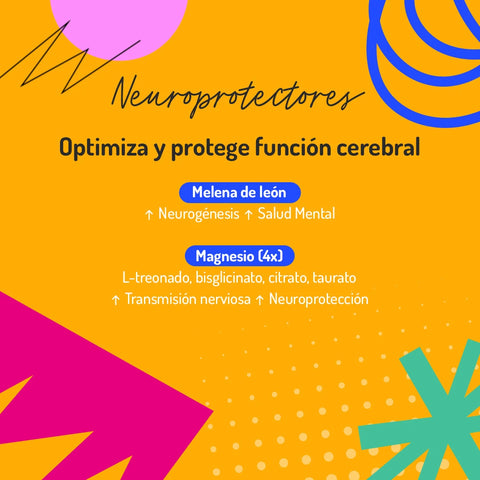 First Brain 2X