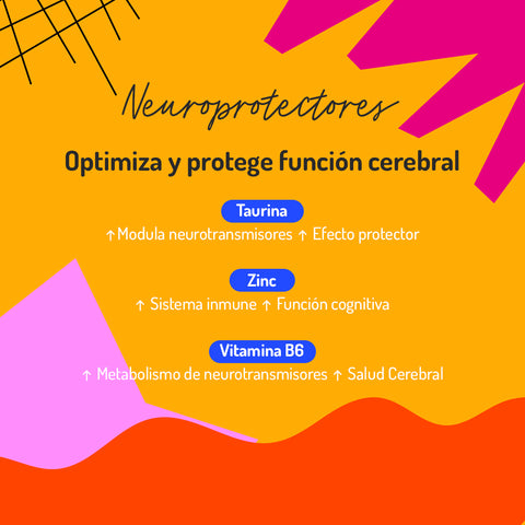 First Brain 2X
