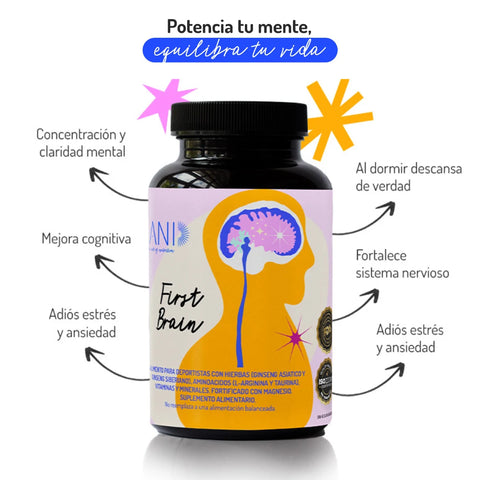 First Brain 2X