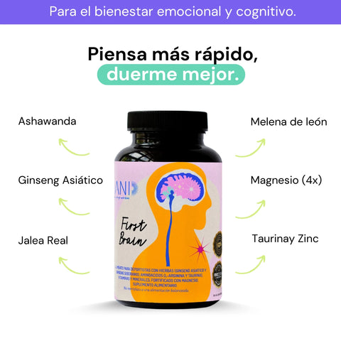 First Brain 3x