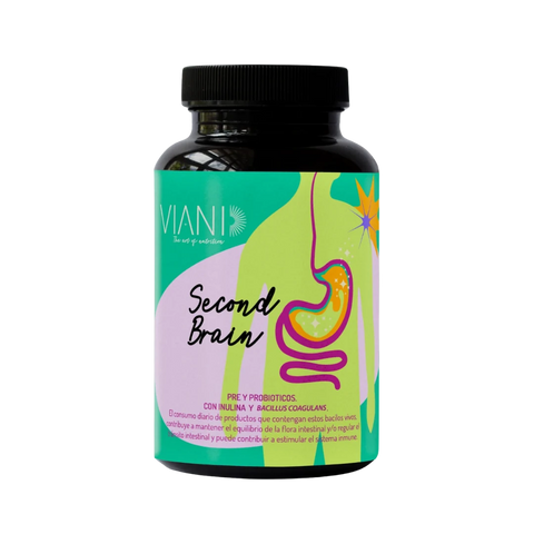 Second Brain