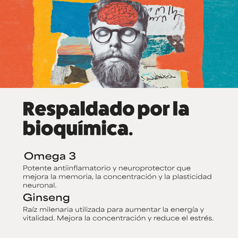 FIRST BRAIN 2X | Potenciado