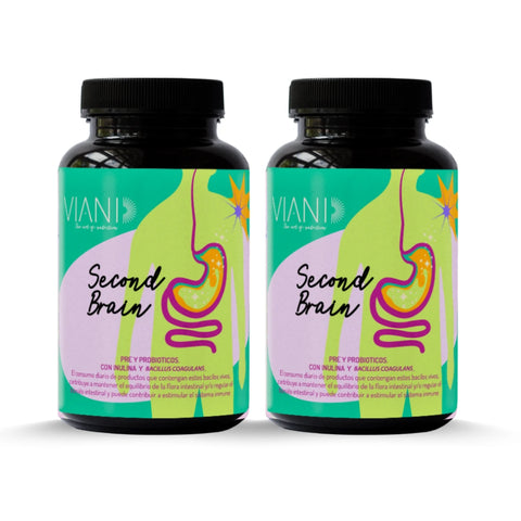 Second Brain 2x