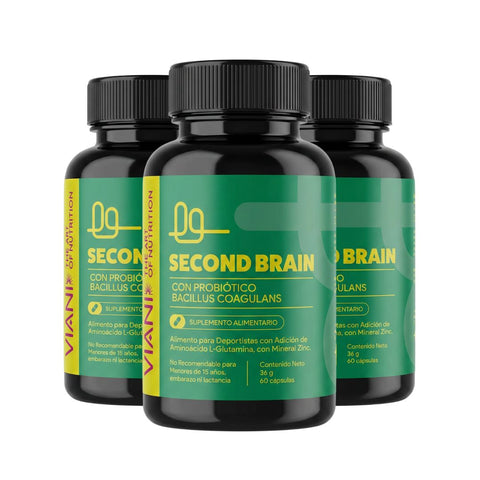 SECOND BRAIN 3X | Potenciado