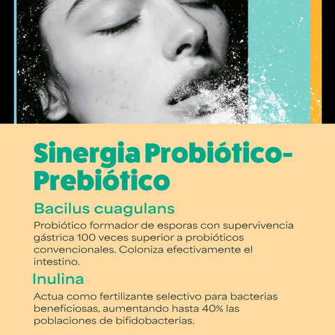 SECOND BRAIN 2X | Potenciado