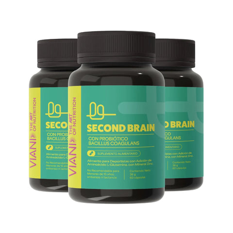 SECOND BRAIN 3X | Potenciado