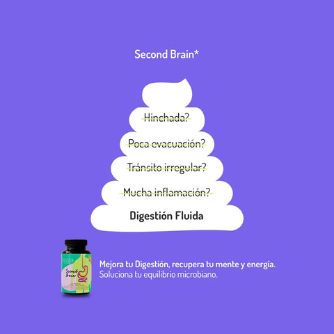 Second Brain 3X