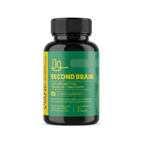 SECOND BRAIN | Potenciado