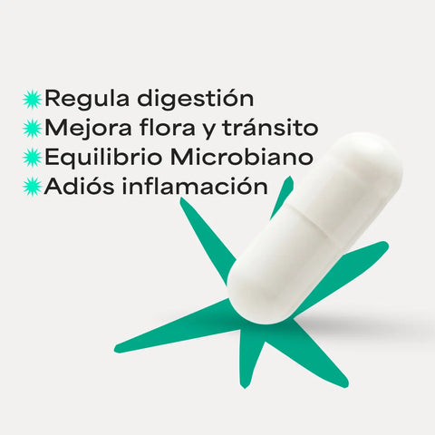 SECOND BRAIN 2X | Potenciado